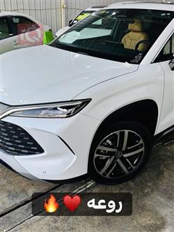 بي واي دي سونغ L DM-i